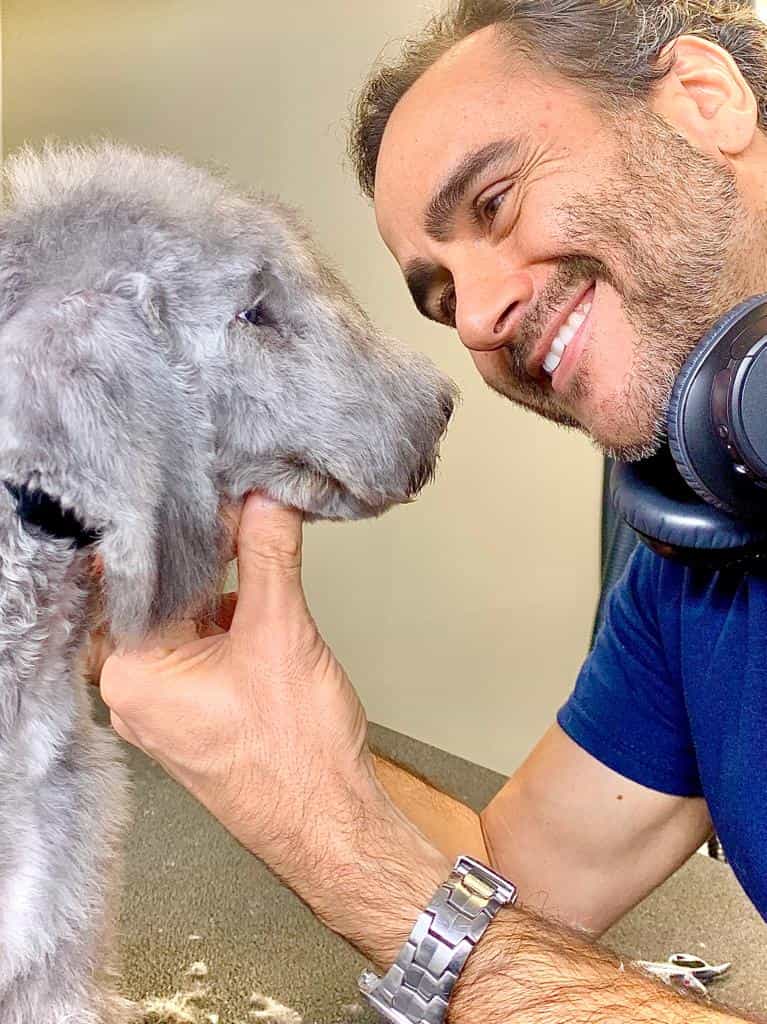 rodrigo-grooming-gray-dog